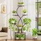 62-Inch Tall Tree-Shaped Indoor Plant Stand with 3-Head Full-Spectrum Grow Lights 8-Tier Corner Display Shelf
